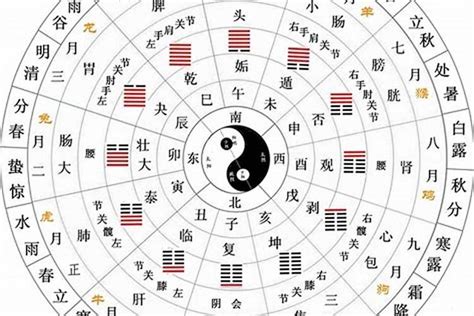 壬戌年五行|天干地支五行对照表